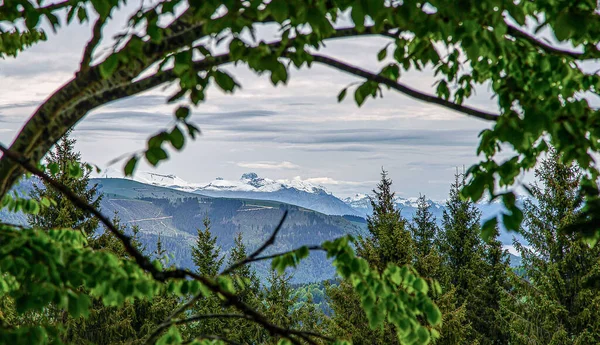 Krajobraz Górski Wspaniała Poranna Mgła — Zdjęcie stockowe