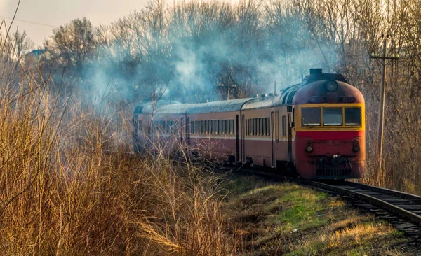 Ağaçlar arasındaki tren raylarında dumanlı tren.
