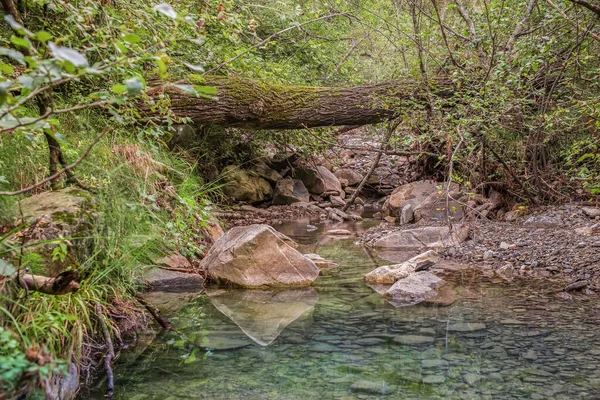 Nehir boyunca zümrüt renkli suyla hazırlanmış bir köprü.