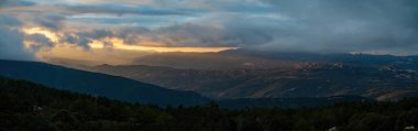 Trees and mountains in sardinia . High quality photo