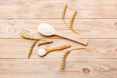 Tahta kasede buğday unu ve renkli arka planda buğday dikenleri. dünya buğday krizi.