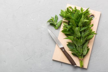Kesme tahtalarında bir demet taze nane, renkli arkaplan görünümü.