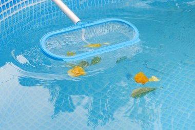 Yüzme havuzunu ağ süzgeciyle temizliyorum. Uzun ağ, suyun yüzeyindeki renkli yaprakları temizler..