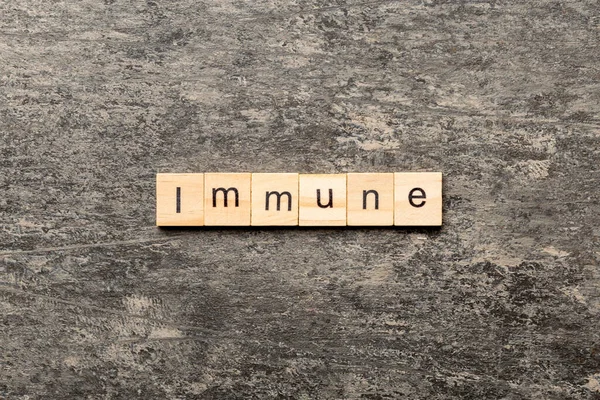 Immunologiczne Słowo Napisane Drewnianym Bloku Immunologiczny Tekst Cementowym Stole Projektowania — Zdjęcie stockowe