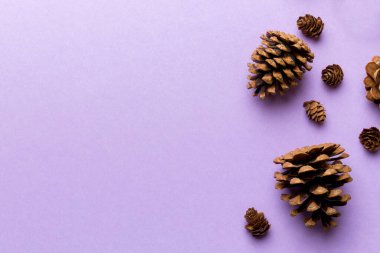 Renkli kağıt kenarlık kompozisyonu üzerinde noel kozalakları. Noel, yeni yıl, kış konsepti. Düz konum, üst görünüm, kopyalama alanı.