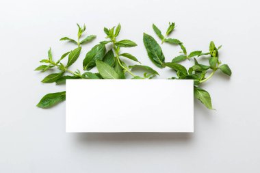 Boş kağıttan yapılmış çelenk çerçevesi, metin için boşluk ve renkli arkaplanda nane yaprakları. - Evet. Darphane deseni. Düz yatıyordu. Üst görünüm.