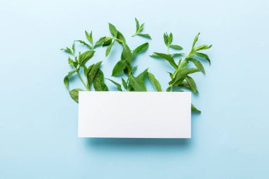 Boş kağıttan yapılmış çelenk çerçevesi, metin için boşluk ve renkli arkaplanda nane yaprakları. - Evet. Darphane deseni. Düz yatıyordu. Üst görünüm.