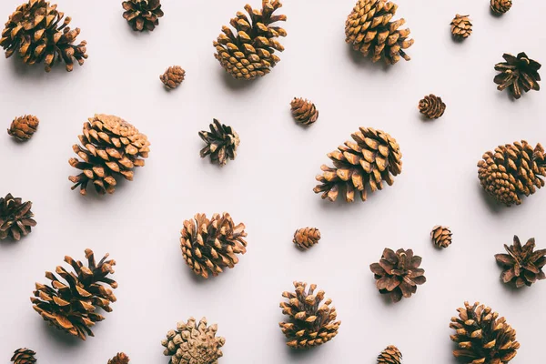 Pine Cones Colored Table Natural Holiday Background Pinecones Grouped Together — Stock Photo, Image
