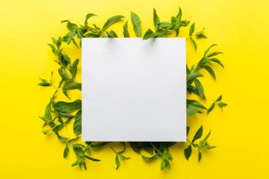 Boş kağıttan yapılmış çelenk çerçevesi, metin için boşluk ve renkli arkaplanda nane yaprakları. - Evet. Darphane deseni. Düz yatıyordu. Üst görünüm.