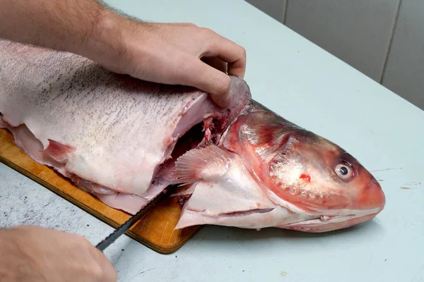 男は新鮮な銀鯉の魚を準備します ナイフでステーキに切ります 家庭料理のコンセプト — ストック写真