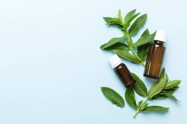 Cam Şişedeki Doğal Nane Özeli Yağı. Renkli arka planda nane özlü bitkisel kozmetik ürünleri.