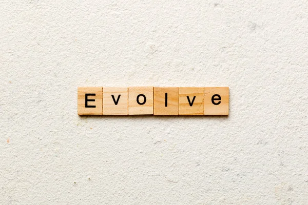 stock image EVOLVE word written on wood block. EVOLVE text on cement table for your desing, concept.