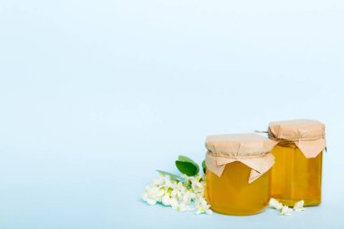 robinia honey bollte with acacacia flomes on color table.