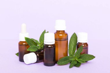 Cam Şişedeki Doğal Nane Özeli Yağı. Renkli arka planda nane özlü bitkisel kozmetik ürünleri.