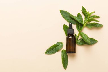 Cam Şişedeki Doğal Nane Özeli Yağı. Renkli arka planda nane özlü bitkisel kozmetik ürünleri.