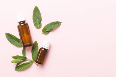 Cam Şişedeki Doğal Nane Özeli Yağı. Renkli arka planda nane özlü bitkisel kozmetik ürünleri.