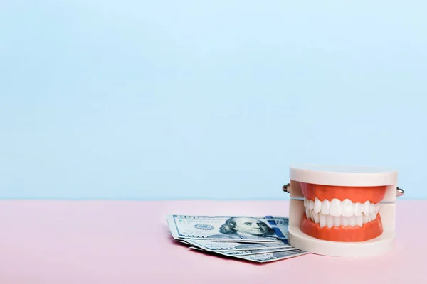 Modelo Fechado Uma Mandíbula Humana Com Dentes Brancos Nota Dólar — Fotografia de Stock
