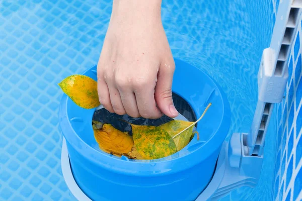 girl cleans skimmer for the frame pool. Contaminated pool cleaning concept.
