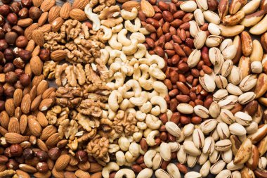 Farklı fındık geçmişi. Yaklaş, üstten bak, düz yat. Ceviz, fıstık, badem, fındık ve kaju..