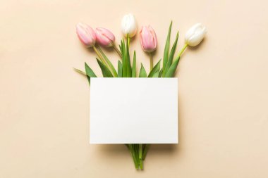 Boş kartlı kompozisyon ve renkli arka planda güzel çiçek lalesi. En üstteki görünüm boşluk desing için.