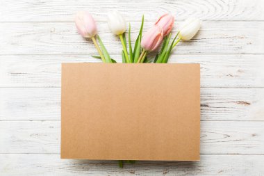 Boş kartlı kompozisyon ve renkli arka planda güzel çiçek lalesi. En üstteki görünüm boşluk desing için.