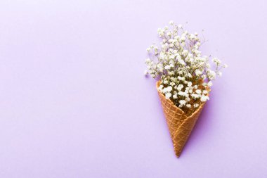 Renkli arka planda güzel çigila çiçekleri olan gözleme külahı. Yaz konsepti. Üst görünümü kopyala.