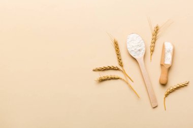 Tahta kasede buğday unu ve renkli arka planda buğday dikenleri. dünya buğday krizi.