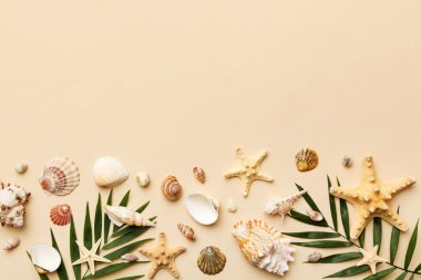 Yaz zamanı konsepti düz kompozisyon ile güzel deniz yıldızları ve deniz kabukları renkli tablo üzerinde yatıyordu, metin için metin alanı ile üst görünüm.