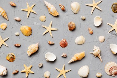 Yaz mevsimi konsepti deniz yıldızları ve deniz kabukları ile bezenmiş düz bir kompozisyon, renkli masa, üst görünüm.