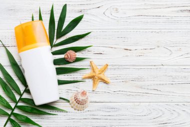 Güneş kremi şişesi. Güneş korumalı krem ve tropik yeşil yapraklı deniz kabukları olan bir şişe..