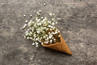 Renkli arka planda güzel çigila çiçekleri olan gözleme külahı. Yaz konsepti. Üst görünümü kopyala.