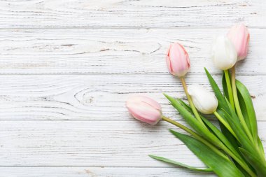 Renkli bir tatil çerçevesinde pembe ve beyaz laleler. 8 Mart, doğum günü, anneler günü için çiçek arkaplanı. Üst görünüm düzlemini kopyala.