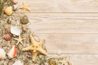Yaz zamanı konsepti düz kompozisyon ile güzel deniz yıldızları ve deniz kabukları renkli tablo üzerinde yatıyordu, metin için metin alanı ile üst görünüm.