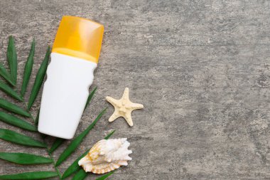 Güneş kremi şişesi. Güneş korumalı krem ve tropik yeşil yapraklı deniz kabukları olan bir şişe..