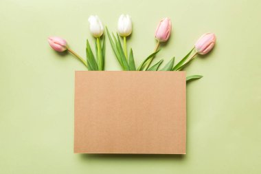 Boş kartlı kompozisyon ve renkli arka planda güzel çiçek lalesi. En üstteki görünüm boşluk desing için.