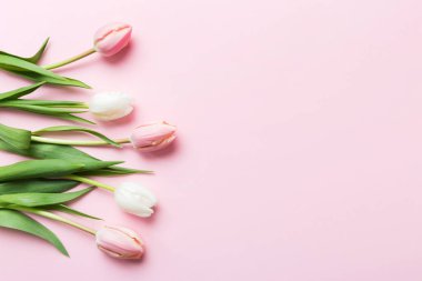 Renkli bir tatil çerçevesinde pembe ve beyaz laleler. 8 Mart, doğum günü, anneler günü için çiçek arkaplanı. Üst görünüm düzlemini kopyala.