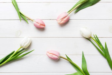 Renkli bir tatil çerçevesinde pembe ve beyaz laleler. 8 Mart, doğum günü, anneler günü için çiçek arkaplanı. Üst görünüm düzlemini kopyala.