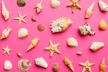 Yaz mevsimi konsepti deniz yıldızları ve deniz kabukları ile bezenmiş düz bir kompozisyon, renkli masa, üst görünüm.