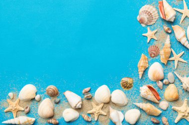 Yaz mevsimi konsepti deniz yıldızları ve deniz kabukları ile bezenmiş düz bir kompozisyon, renkli masa, üst görünüm.