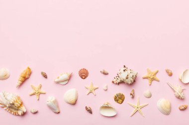 Yaz zamanı konsepti düz kompozisyon ile güzel deniz yıldızları ve deniz kabukları renkli tablo üzerinde yatıyordu, metin için metin alanı ile üst görünüm.