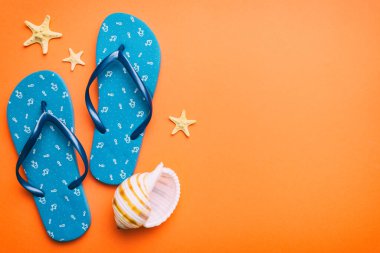 Flat lay composition with flip flops and seashell on colored background. Space for text top view.