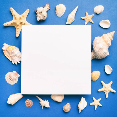 Yaz mevsimi konsepti, boş tebrik kartı ve renkli arkaplan üzerine boş beyaz kağıt. Çerçeve şeklinde deniz kabukları metin üstü görünümü için boşluk ile ayrılmış.