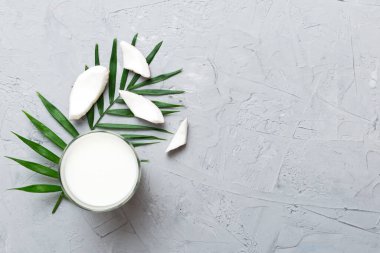 Beyaz tahta arka planda hindistan cevizi ürünleri. Sütsüz süt yerine içecek, yassı sağlıklı yiyecekler..