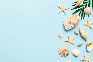 Summer time concept Flat lay composition with beautiful starfish and sea shells on colored table, top view with copy space for text.
