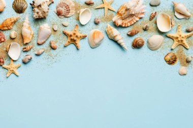 Yaz zamanı konsepti düz kompozisyon ile güzel deniz yıldızları ve deniz kabukları renkli tablo üzerinde yatıyordu, metin için metin alanı ile üst görünüm.