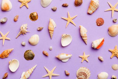 Summer time concept Flat lay composition with beautiful starfish and sea shells on colored table, top view.