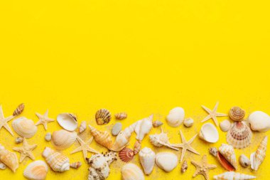 Yaz zamanı konsepti düz kompozisyon ile güzel deniz yıldızları ve deniz kabukları renkli tablo üzerinde yatıyordu, metin için metin alanı ile üst görünüm.