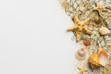 Summer time concept Flat lay composition with beautiful starfish and sea shells on colored table, top view with copy space for text.