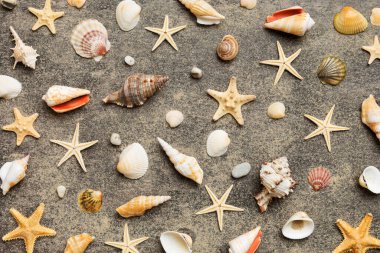 Yaz mevsimi konsepti deniz yıldızları ve deniz kabukları ile bezenmiş düz bir kompozisyon, renkli masa, üst görünüm.