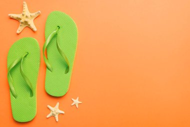 Renkli arka planda parmak arası terlikleri ve deniz kabuğu olan düz bir kompozisyon. Metin üstü görünümü için boşluk.